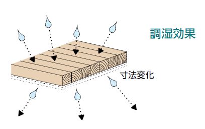 耐朽性と調湿機能